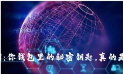 钱包助记词：你钱包里的