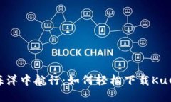 在数字货币的海洋中航行