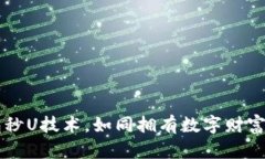 掌握冷钱包秒U技术，如同