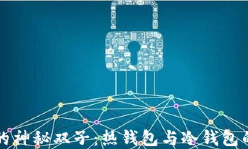 
数字货币的神秘双子：热钱包与冷钱包的趣味对决