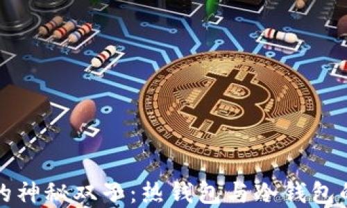 
数字货币的神秘双子：热钱包与冷钱包的趣味对决