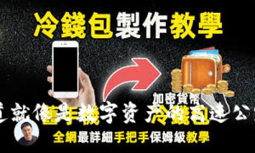 TP钱包的提币通道就像是数字资产的高速公路，让你一飞冲天！
