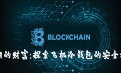 飞翔的财富：探索飞机冷