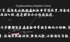 baseti/baseti  小狐狸钱包,