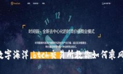 穿越数字海洋，btch交易所
