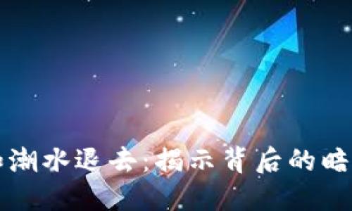 虚拟币暴跌如潮水退去：揭示背后的暗流与最新动态