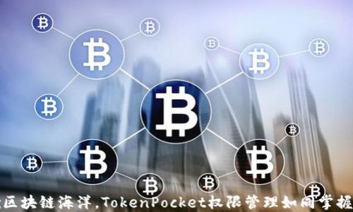 
掌舵区块链海洋，TokenPocket权限管理如同掌握船舵