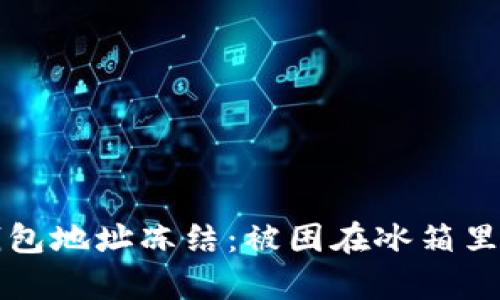 比喻用冷钱包地址冻结：被困在冰箱里的虚拟资产
