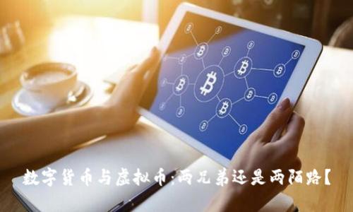 数字货币与虚拟币：两兄弟还是两陌路？