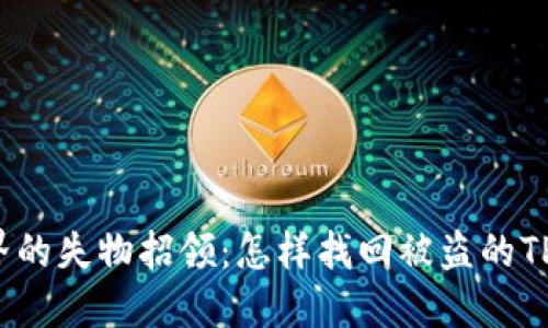 “虚拟世界的失物招领：怎样找回被盗的TP钱包币？”