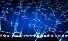 “寻宝图：如何在TP钱包中