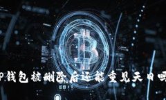 TP钱包被删除后还能重见天