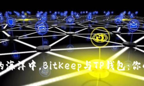 在数字货币的海洋中，BitKeep与TP钱包：你的船长与舵手