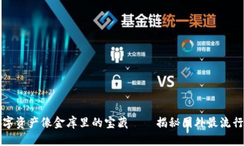 让你的数字资产像金库里的宝藏——揭秘国外最流行的冷钱包