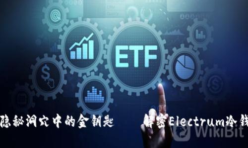 “像把宝藏藏在隐秘洞穴中的金钥匙——解密Electrum冷钱包的保护秘笈”