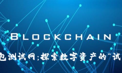 TP钱包测试网：探索数字资产的“试衣间”