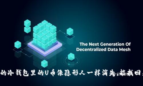 当你的冷钱包里的U币像隐形人一样消失，能找回来吗？
