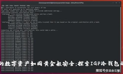 “让你的数字资产如同黄金般安全：探索IGP冷钱包的魅力”