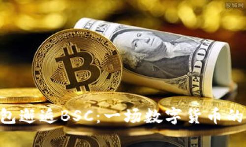 当T P钱包邂逅BSC：一场数字货币的缘分交错