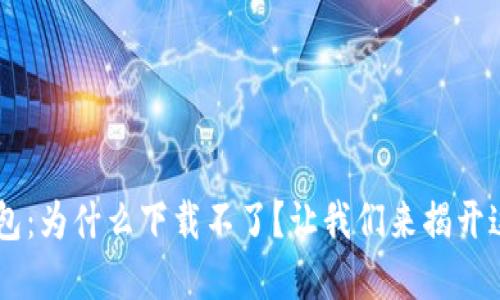 苹果手机TP钱包：为什么下载不了？让我们来揭开这个“神秘面纱”