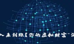 TP钱包充入未到账？你的虚