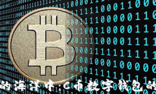 
在数字财富的海洋中：C币数字钱包的安全性探秘