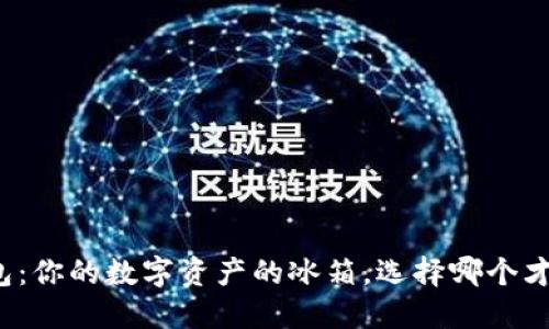 冷链钱包：你的数字资产的冰箱，选择哪个才更美味？