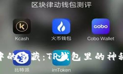 数字钱包中的宝藏：TP钱包里的神秘币种探险