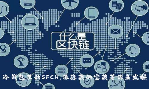冷钱包里的SFCH，像隐藏的宝藏等你来发掘