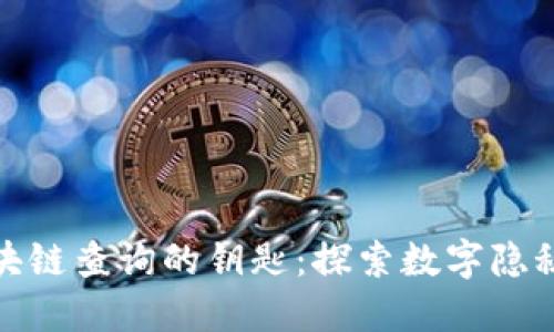 轻松掌握区块链查询的钥匙：探索数字隐秘世界的密码