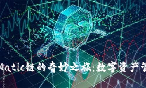 揭秘TP钱包与Matic链的奇妙之旅：数字资产管理的轻松之道