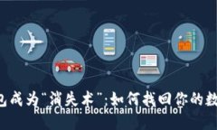 当TP钱包成为“消失术”：