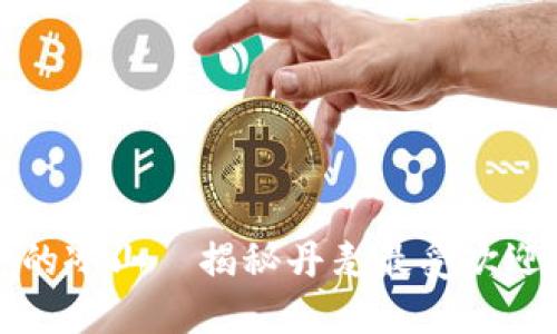 “数字资产的冰山—揭秘丹麦最受欢迎的冷钱包”