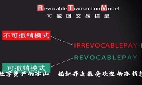 “数字资产的冰山—揭秘丹麦最受欢迎的冷钱包”