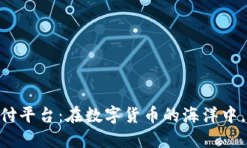 USDT第三方支付平台：在数字货币的海洋中，如何做个浪花？