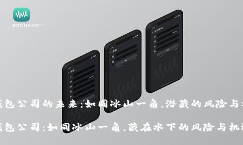 冷钱包公司的未来：如同冰山一角，潜藏的风险与机遇

冷钱包公司：如同冰山一角，藏在水下的风险与机遇