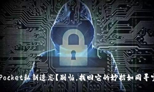 TokenPocket私钥遗忘？别怕，找回它的妙招如同寻宝之旅！