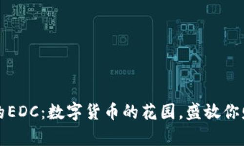 TP钱包中的EDC：数字货币的花园，盛放你财富的花朵