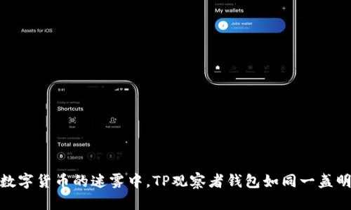 在数字货币的迷雾中，TP观察者钱包如同一盏明灯