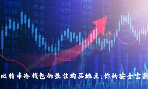 寻找比特币冷钱包的最佳购买地点：你的安全宝藏之旅