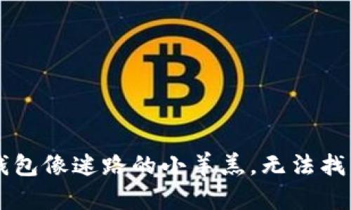 思考当你的TP钱包像迷路的小羊羔，无法找到币安的那扇门