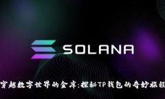 穿越数字世界的金库：探