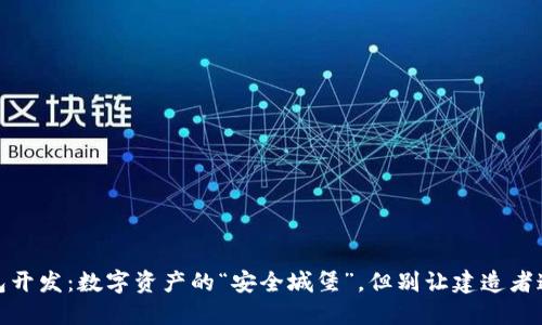 冷钱包开发：数字资产的“安全城堡”，但别让建造者迷了路