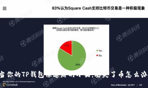 当你的TP钱包像迷路的小猫，丢失了币怎么办？
