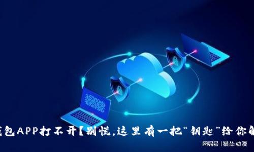 冷钱包APP打不开？别慌，这里有一把“钥匙”给你解锁！