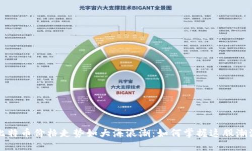 比特币价格走势如大海浪潮：如何掌握这股潮流