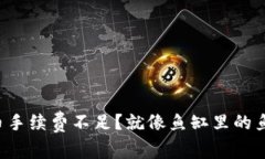 TP钱包提币手续费不足？就