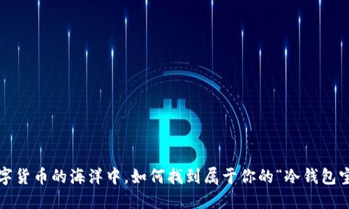 在数字货币的海洋中，如何找到属于你的“冷钱包宝藏”？