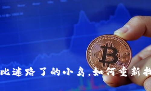 “火币网 TP 钱包：好比迷路了的小鸟，如何重新找到飞向目标的路线？”