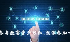 “TP钱包：如何轻松参与数